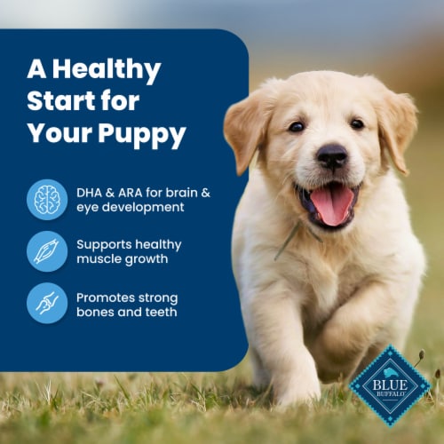 Blue Buffalo Life Protection Formula Natural Puppy Dry Dog Food Chicken & Brown Rice Perspective: right