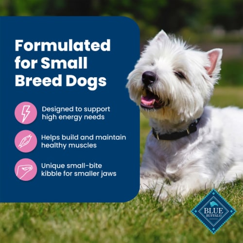 Blue Buffalo Life Protection Formula Natural Chicken and Brown Rice Adult Small Breed Dry Dog Food Perspective: right