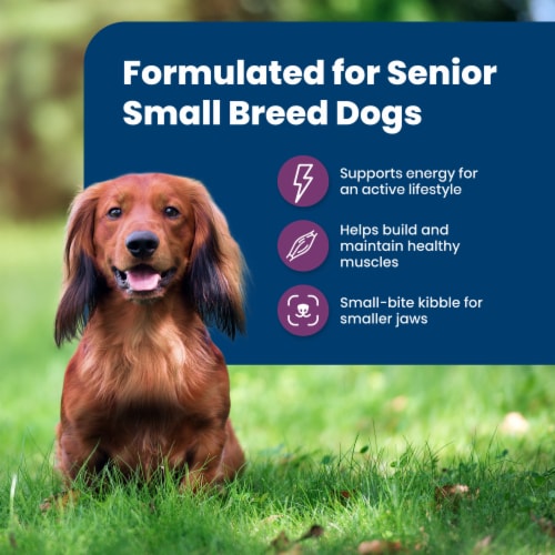 Blue Buffalo™ Life Protection Formula® Chicken & Brown Rice Small Breed Senior Dog Food Perspective: right