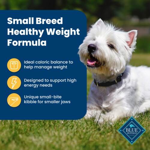 Blue Buffalo Life Protection Healthy Weight Formula Small Breed Adult Dog Food Chicken & Brown Rice Perspective: right