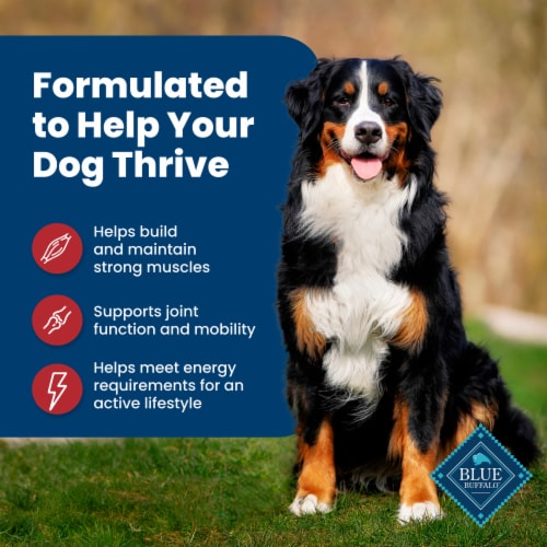 Blue™ Life Protection Formula Adult Beef and Brown Rice Recipe Natural Food for Dogs Perspective: right