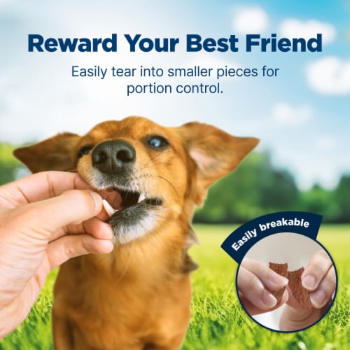 Blue Buffalo Nudges Jerky Cuts Natural Dog Treats Chicken & Duck Perspective: right