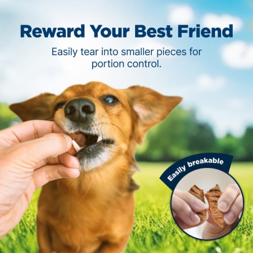 Blue Buffalo Nudges Grillers Natural Dog Treats Chicken Perspective: right