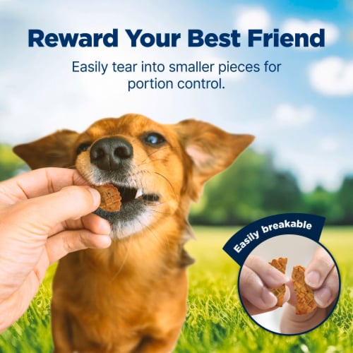 Blue Buffalo Nudges Homestyle Natural Dog Treats Chicken Peas, and Carrots Perspective: right
