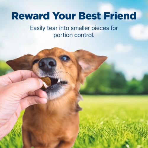 Blue Buffalo Nudges Homestyle Natural Dog Treats Beef Perspective: right