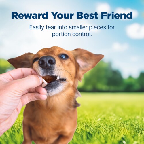 Blue Buffalo Nudges Homestyle Natural Chicken and Pork Dog Treats Perspective: right