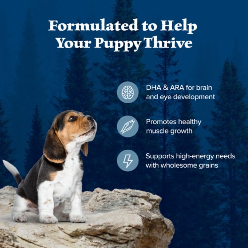 Blue Buffalo Wilderness High Protein Natural Puppy Dry Dog Food Chicken Perspective: right