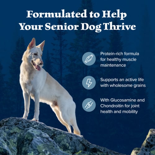 Blue Buffalo Wilderness High Protein Natural Chicken and Wholesome Grains Senior Dry Dog Food Perspective: right
