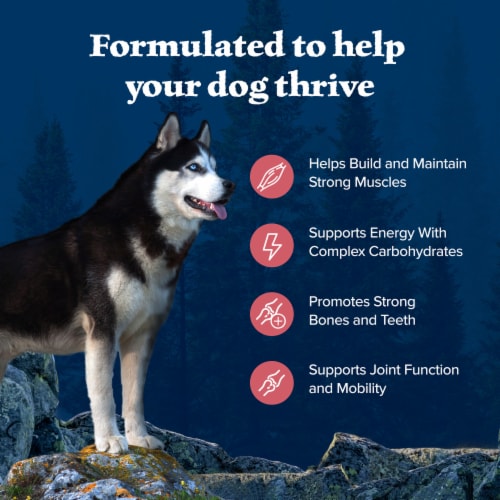 Blue Buffalo Wilderness High Protein Natural Adult Dry Dog Food Salmon & Wholesome Grains Perspective: right