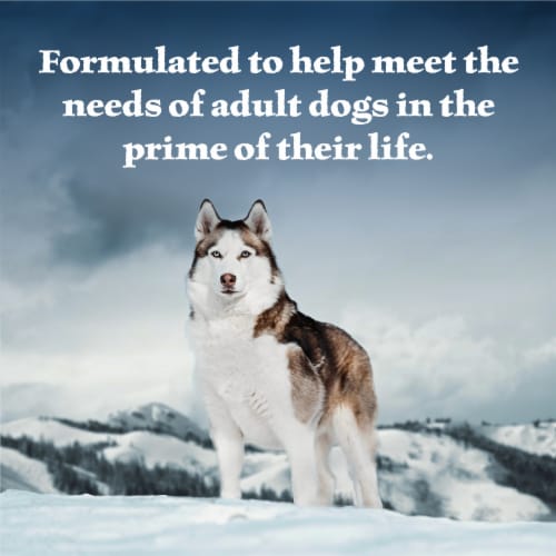 Blue Buffalo Wilderness High Protein Beef and Chicken & Salmon and Chicken Adult Wet Dog Food Perspective: right