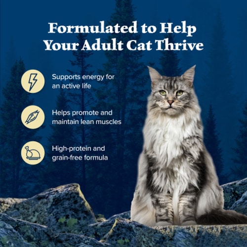 Blue Buffalo Wilderness Wild Delights High-Protein Grain-Free Adult Wet Cat Food Variety Pack Perspective: right