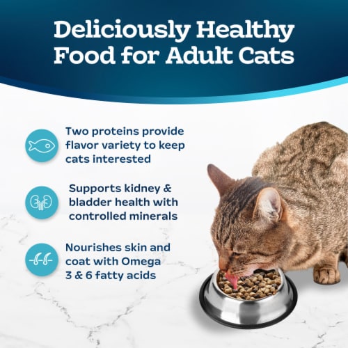 Blue Buffalo Tastefuls Adult Cat Dry Food, Multi-Protein Salmon & Ocean Fish Recipe, 5-lb Bag Perspective: right