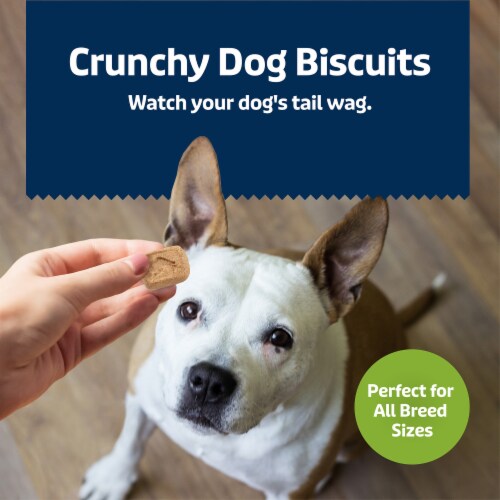 Blue Buffalo Health Bars Mini Crunchy Dog Biscuits, Apples & Yogurt, 16 oz Bag Perspective: right