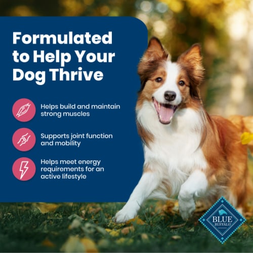 Blue Buffalo Life Protection Formula Adult Dry Dog Food, Salmon & Brown Rice Recipe, 5-lb. Bag Perspective: right