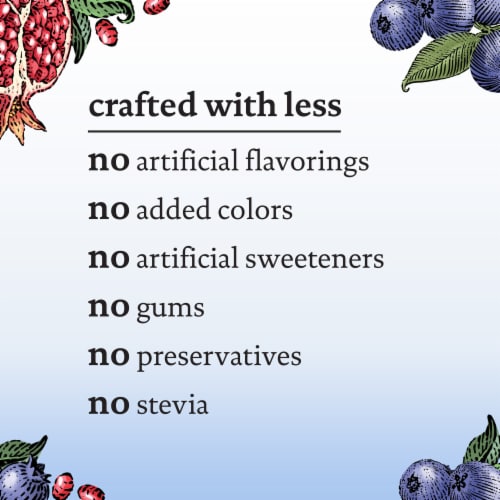 siggi's Reduced Fat Protein Pack, Blueberry Pomegranate, Yogurt Pouch Perspective: right