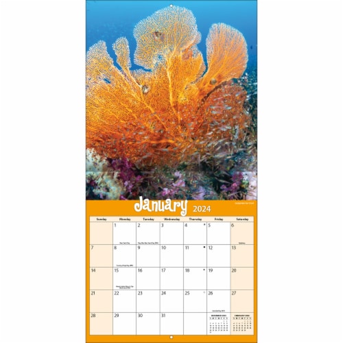 Lang Coral Reef 2024 Wall Calendar Perspective: right