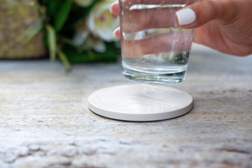 Jurassic Park Tyrannosaurus Rex Logo Heavy Duty Ceramic Coaster | 4 Inches Round Perspective: right