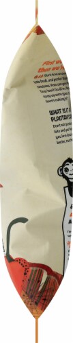 Barnana Organic Ridged Spicy Mango Salsa Plantain Chips Perspective: right