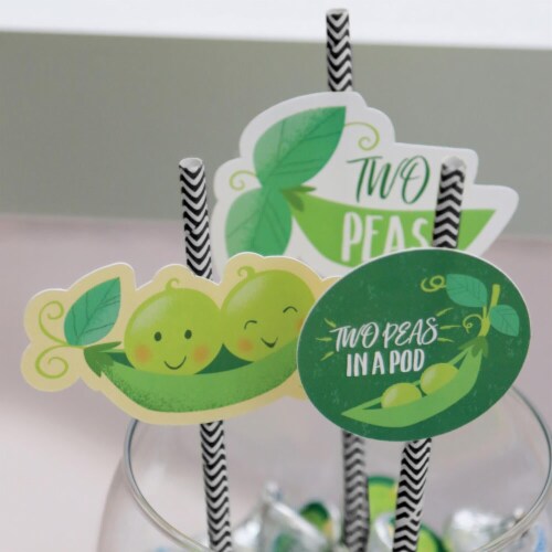 Big Dot of Happiness Double the Fun Twins Two Peas in a Pod - Striped Paper Straw Decor 24 Ct Perspective: right