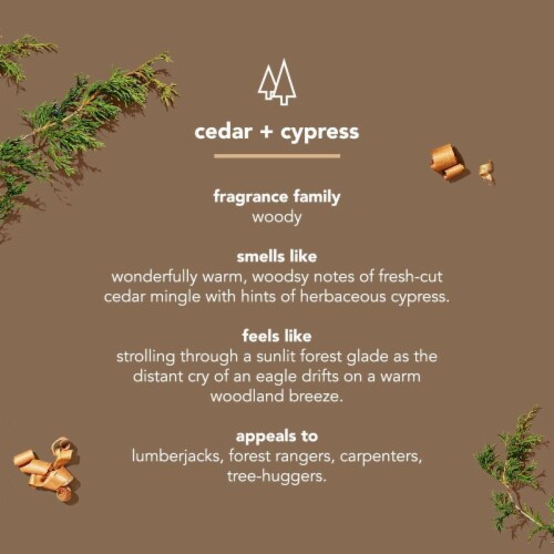 Method Cedar + Cypress Men 2-in-1 Shampoo + Conditioner Perspective: right