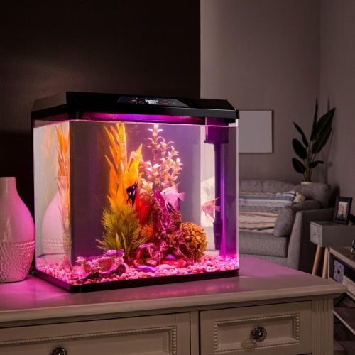 JumblPets Starter Fish Aquarium Kit Beginner Glass Fish Tank Kit w LED Lighting More 1 Ralphs