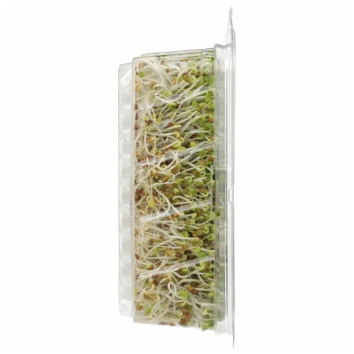 Wild About Sprouts® Tangy Clover & Broccoli Perspective: right