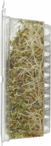 Wild About Sprouts® Clover Perspective: right