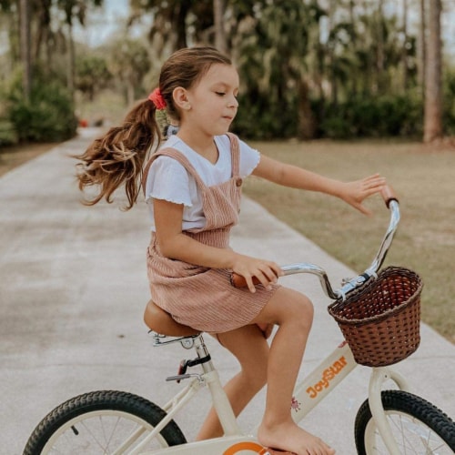 Joystar vintage bike 2025