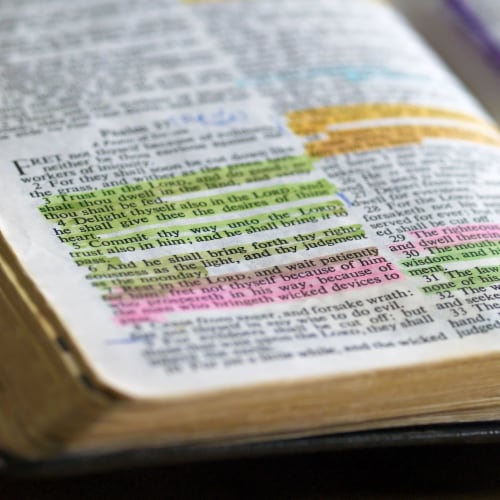 Bible Safe Gel Highlighters, Assorted Bright Neon Fluorescent Highlight Colors - 16 Count Perspective: right