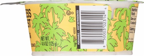 Harmless Harvest Organic Dairy-Free Vanilla Yogurt Alternative Perspective: right