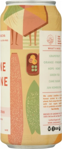 JuneShine Hopical Citrus Hard Kombucha Single Can Perspective: right