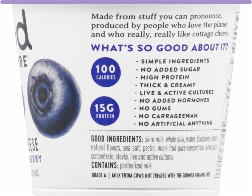 Good Culture 3G Sugar Blueberry Cottage Cheese Perspective: right