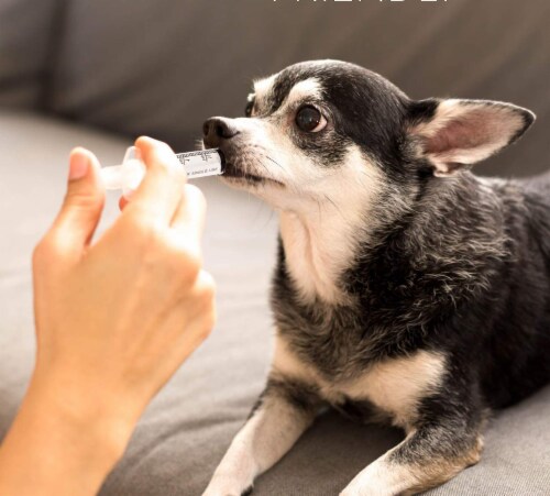 Anti-Diarrhea for Dogs and Cats(4 oz) (Syringe included) Perspective: right