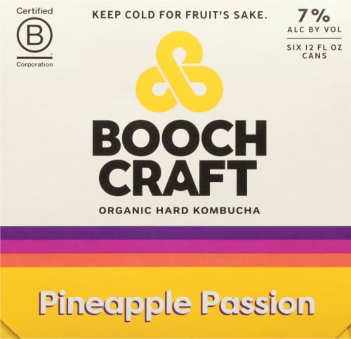 Boochcraft Orange Pomegranate Hibiscus Kombucha 6 Cans Perspective: right