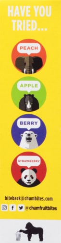 Chum Fruit Bites Mango Fruit Snacks Perspective: right