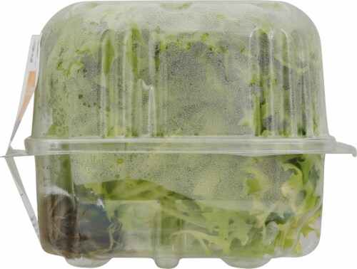 Kalera Living Hydroponic Frisee Lettuce Perspective: right