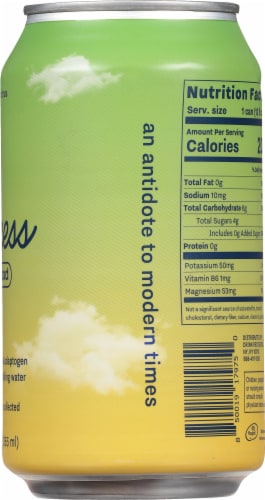 Recess Mood Lime Citrus Magnesium and Adaptogen Infused Sparkling Water Can Perspective: right