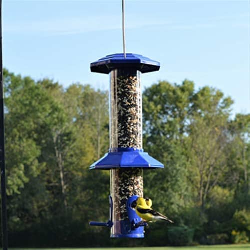 Natures Way Bird Products Squirrel Proof Funnel Flip Top Bird Feeder Perspective: right