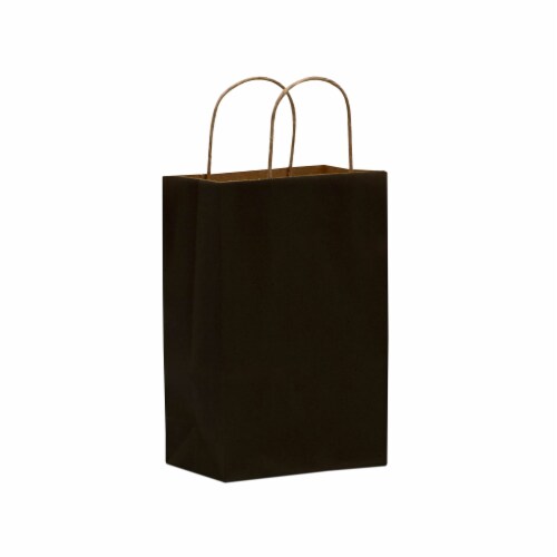 Prime Line Packaging Plastic Gift Bags, Black Gift Bags with Handles, Favor Bags 10x5x13 100 Pack