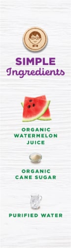 Jonny Pops® Organic Sour Green Apple Punch Minis Perspective: right