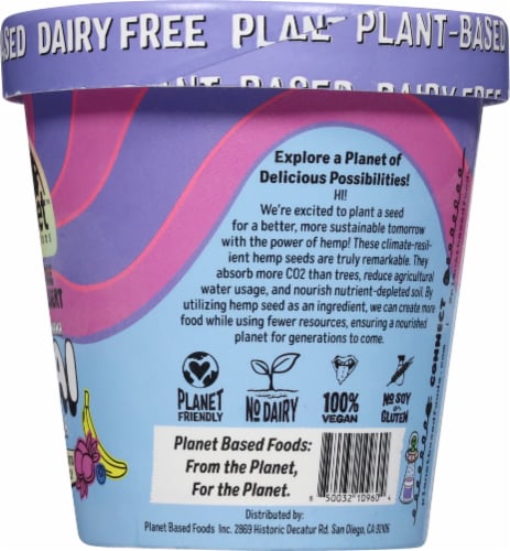 Planet Based Foods™ Blueberry Banana Acai with Granola Dairy Free Ice Cream Perspective: right