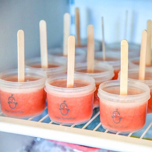 Sage Spoonfuls Reusable Plastic 4oz Baby Food Jars With Lids - 12-Pack Perspective: right