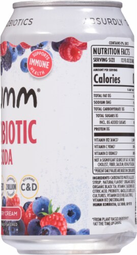 Humm Kombucha® Berry Cream Probiotic Soda Perspective: right