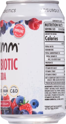 Humm Kombucha® Berry Cream Probiotic Soda Perspective: right