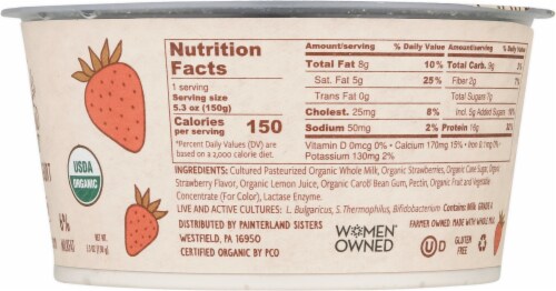 Painterland Sisters™ Organic Skyr Strawberry Yogurt Perspective: right