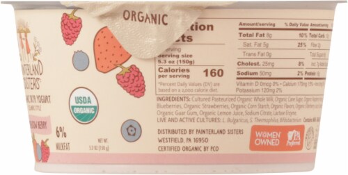 Painterland Sisters™ Meadow Berry 6% Milkfat Organic Skyr Yogurt Cup Perspective: right