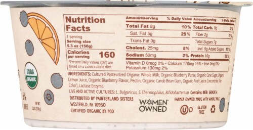 Painterland Sisters™ Blueberry-Lemon Organic Skyr Yogurt Cup Perspective: right
