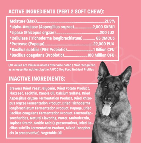 Pet Health Pros - Advanced Probiotics for Dogs - Promotes Happy Gut, Happy Dog Perspective: right