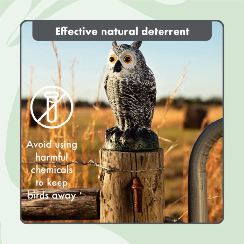BIRD BLINDER Fake Owl Decoy Set of 3 Gray - Scare Birds Away! Perspective: right
