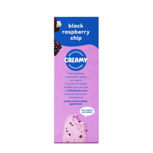 Yasso Black Raspberry Chip Frozen Greek Yogurt Bars Perspective: right